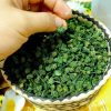 hình ảnh nụ hoa tam thất