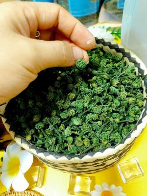 hình ảnh nụ hoa tam thất